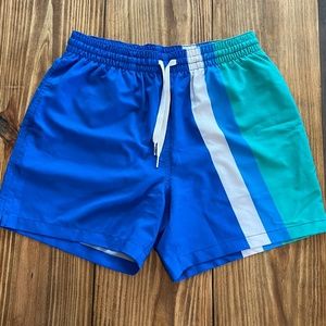 Chubbies 5.5" Swim Shorts